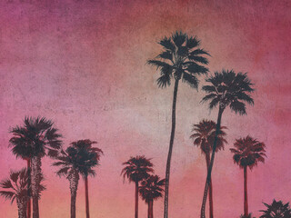 Pink Sky Black Palms mural