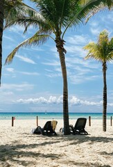 beach with chairs, umbrellas and palm trees at Playa del Carmen, Mexico