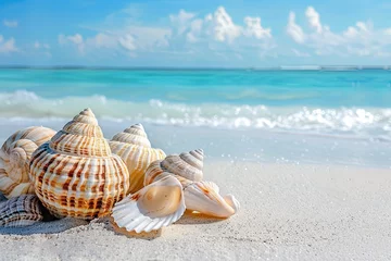 Poster Shells rest on sandy beach by azure ocean, under blue sky, world ocean day © Igor