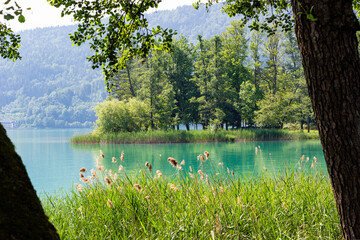 Glimpse of a park on the lake shore seen from behind the trees, Austria