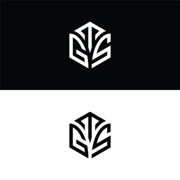 Initial letter TGS hexagon logo design, flourish, develop, natural, luxury, simple, finance logo, real estate.