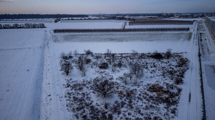 Snow-covered winter landscape with fields and trees around Weiterstadt captured with a drone on a winter evening - obrazy, fototapety, plakaty