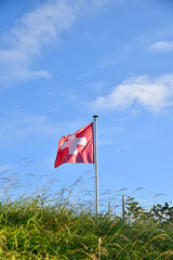 Waving Swiss flag on a flagpole in the grass - 780737324