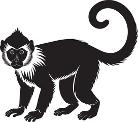 Monkey silhouette. black and white. vector illustration in white background