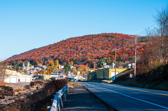 autumn in town