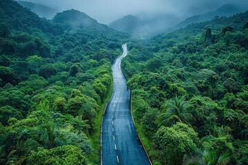 Aerial view of a winding asphalt road in an evergreen tropical forest. A picturesque journey through the emerald wilderness, nature's own masterpiece.