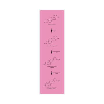 Diagram showing biosynthesis of active form of vitamin D - Calcitriol - via the kidneys and the liver - schematic molecular strcuture chemical illustration.