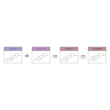 Diagram showing biosynthesis of active form of vitamin D - Calcitriol - via the kidneys and the liver - schematic molecular strcuture chemical illustration.