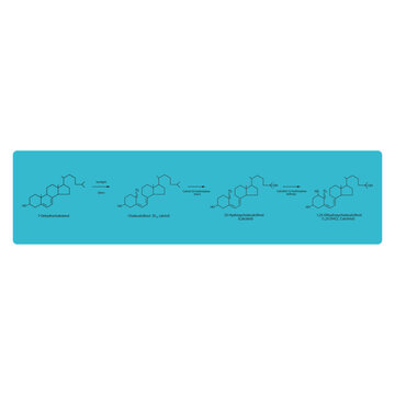 Diagram showing biosynthesis of active form of vitamin D - Calcitriol - via the kidneys and the liver - schematic molecular strcuture chemical illustration.