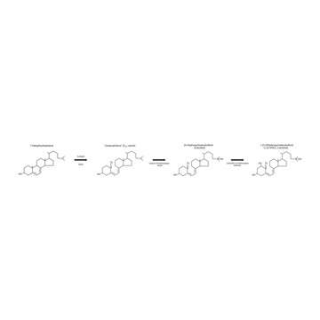 Diagram showing biosynthesis of active form of vitamin D - Calcitriol - via the kidneys and the liver - schematic molecular strcuture chemical illustration.