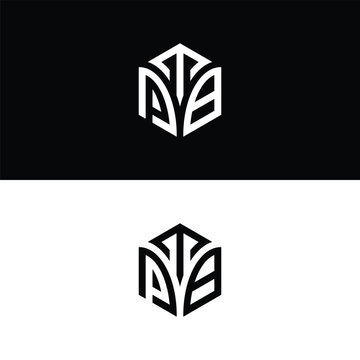 Initial letter TPB hexagon logo design, flourish, develop, natural, luxury, simple, finance logo, real estate.