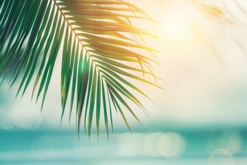 Sunlight filters through tropical palm leaves with a bokeh effect of the bright sea in the background.
