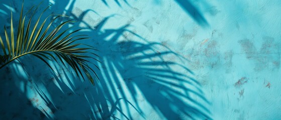 Fototapeta na wymiar Sunlit palm leaf shadows on a cyan backdrop.