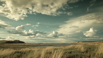 Fototapeta premium Tranquil landscape of a grassy marshland under a vast cloudy sky, evoking peace and solitude.
