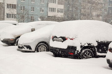 Blizzard. Cars covered with snow are parked