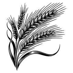 Naklejka premium Wheat Ears Engraving line art PNG illustration