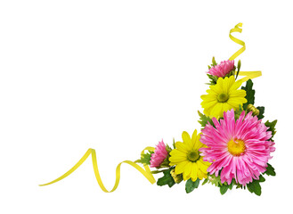 Yellow and pink chrysanthemum flowers and waved ribbon in a corner floral arrangement isolated on white or transparent background - 780760527
