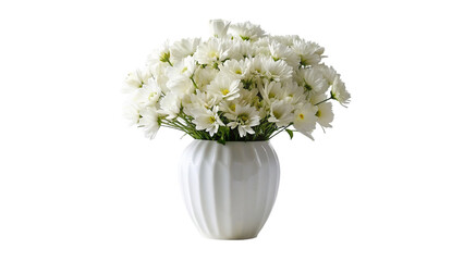 White vase filled with white vase isolated on transparent background