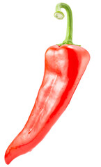 red hot chili pepper isolated on a white background. Clipping path