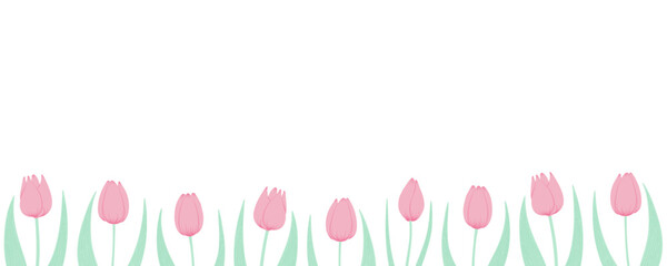 Tulip flowers horizontal border. Hand drawn flat illustration. Spring blossoms, pink blooms, decorative florals. Vector design. Mothers Day, Easter, seasonal, botanical drawing - 780769323