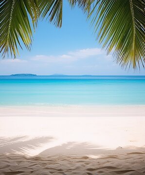 Minimalist beach photography of palm leaves and white sand with turquoise ocean in background