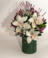 Orchid flower arrangement in a green pot on an off-white background.
Orchid, orchid flower, 