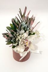 Orchid flower arrangement in a brown pot on an off-white background.
Orchid, orchid flower, 