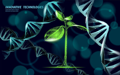  Plant leaf biotechnology abstract concept. 3D render seedling tree leaves DNA genome engineering vitamin supplement. Medical science life eco polygon triangles low poly vector illustration