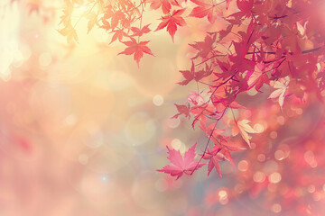 Autumn Maple Leaves on Blurred Warm Bokeh Background