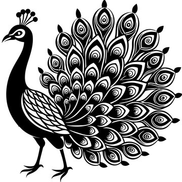 recommend clip art: peacock illustration