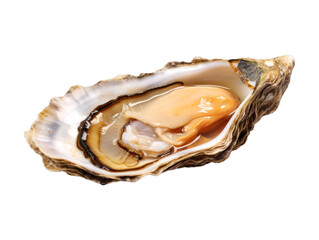 Baked Oysters isolated on transparent png background. Generative ai
