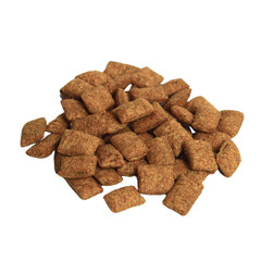 Dog food in a white bowl in a white background