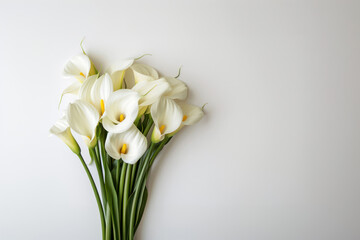 White Anthurium flower on wall, illustraion.