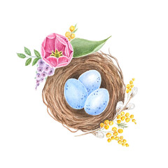 Flowers. Tulips on isolated white. Watercolor drawing. botanical painting, beautiful spring flora, pink flowers