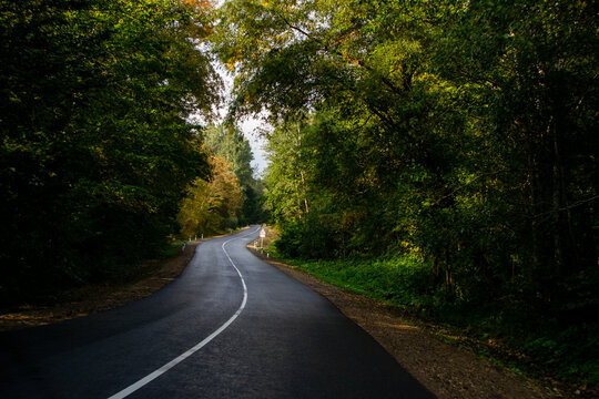 Beautiful mountain curved road, trees with green foliage. A landscape with an empty paved road through the forest