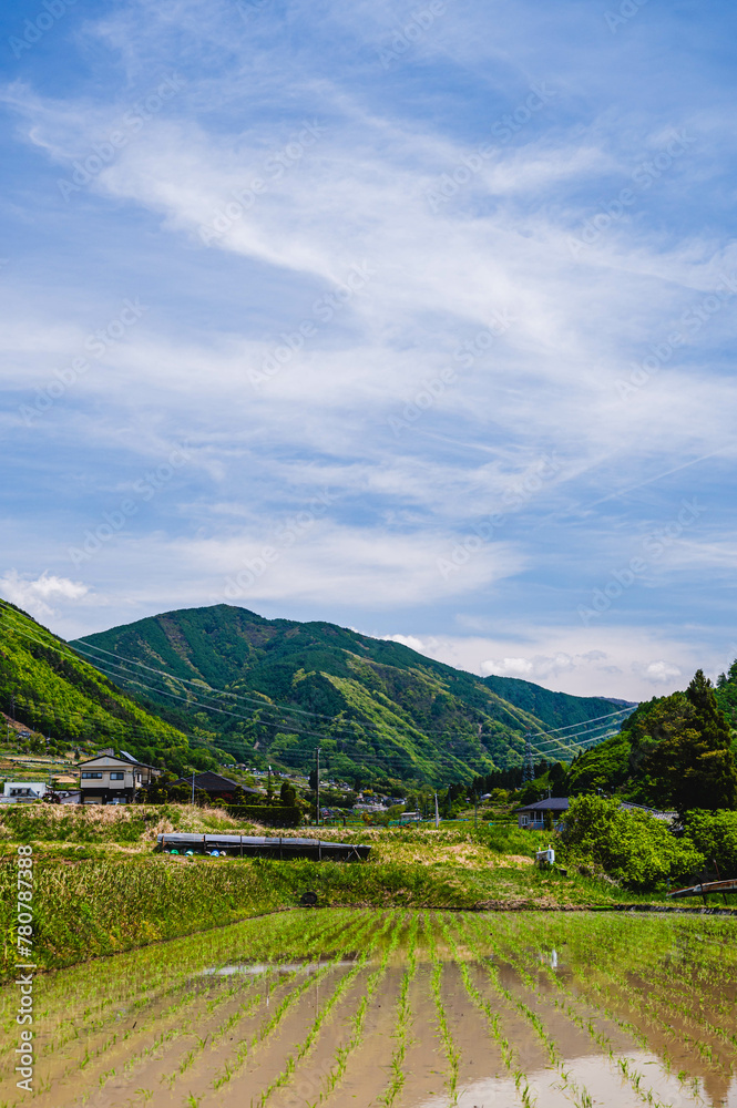 Sticker 田植えの後の山村