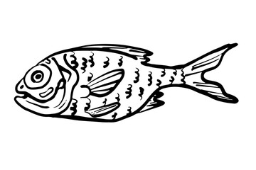 Snapper fish hand-drawn illustration in black and white, isolated on white background. Design for seafood market branding or fishing concept.