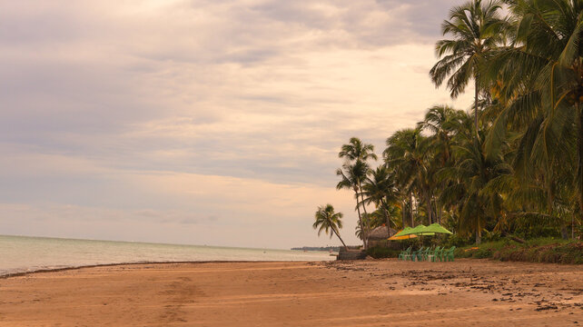 Regi&atilde;o costeira na praia do patacho do nordeste brasileiro