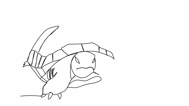 Turtle. One line drawing animation. Video clip with alpha channel.