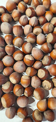 background consisting of hazelnut grains