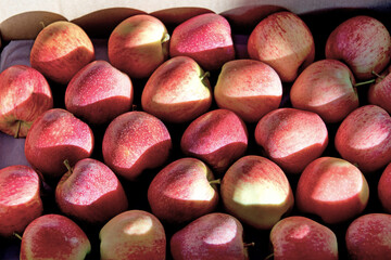 The Fuji apples.  This is one of the fifteen most popular apple cultivars in the World. Brasilia,...