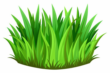 grass green, grass drawing, white background