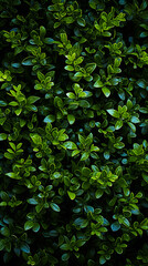 a green hedge with small plants on it, in the style of decorative backgrounds