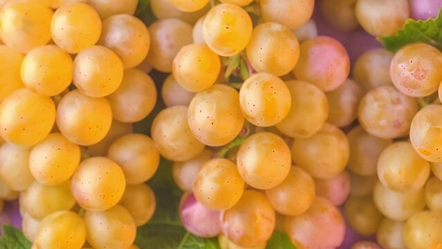 Animated grape extravaganza: Fresh fruit animation, variety of juicy green grapes, vineyard joy concept