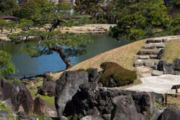 Japanese Garden in hearth of Tokyo