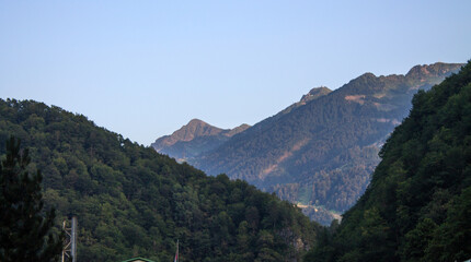 Beautiful panoramic landscape - green mountain peaks and trees on a sunny summer day and a space to copy