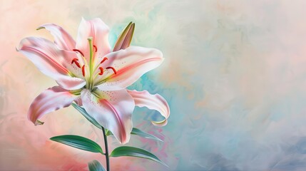 Elegant Lily Flower in Soft Pastel Light.