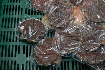 Cleaning and gutting of scallops in a shellfish treatment plant in Galicia	