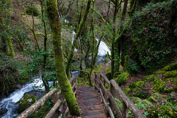 Wooden walkway at the Raxoi and Parafita waterfalls around the Raxoi river in Valga, Pontevedra. ribeira forest