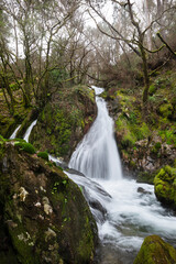 Raxoi and Parafita waterfall around the Raxoi river in Valga, Pontevedra. ribeira forest